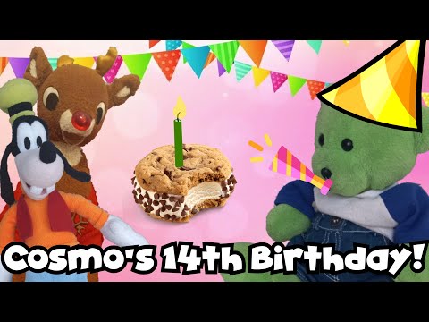 Plush Short: Cosmo's 14th Birthday! 🎂