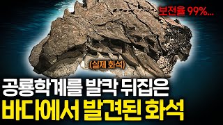 세계에서 가장 완벽하게 보존된 공룡으로 밝혀진 비밀(이걸..?)