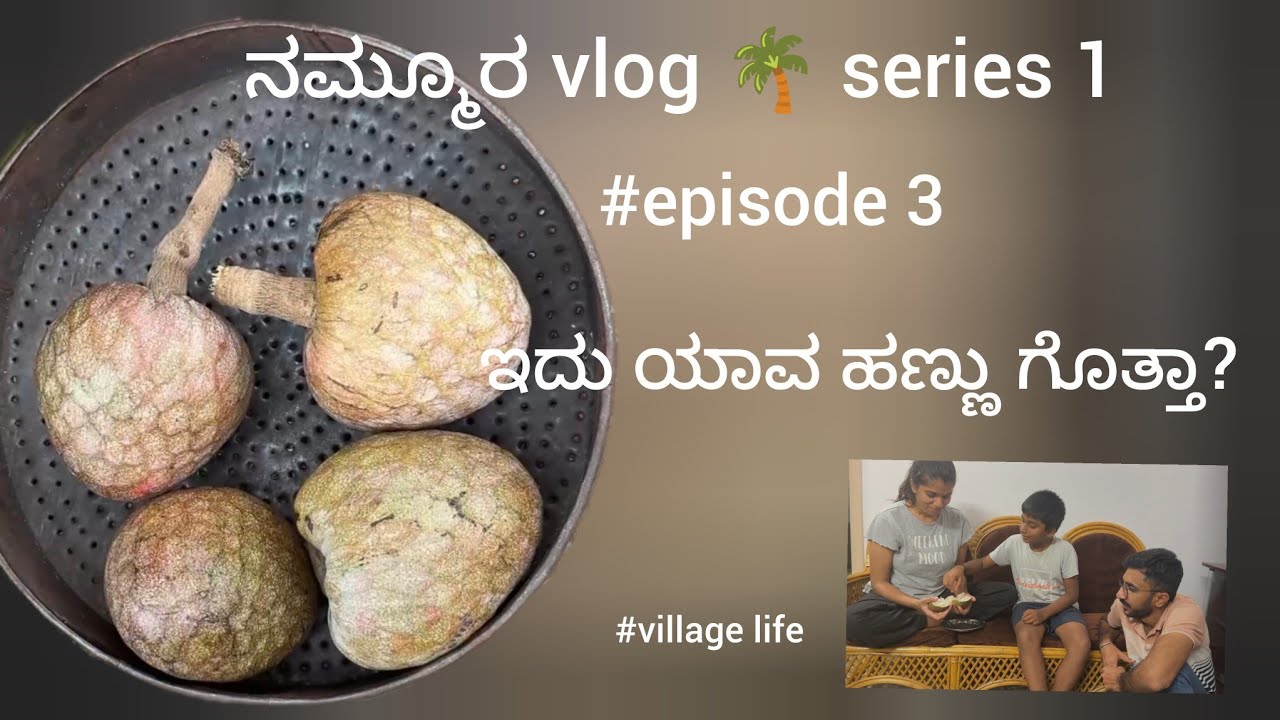 ನಮ್ಮೂರ vlog 🌴 series 1| episode 3 | village lifestyle | Hassan 