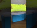 Mesmerizing Toy Unboxing Video #unboxing #shinrawonderfultoys #satisfying