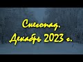 Снегопад  Декабрь 2023 г.