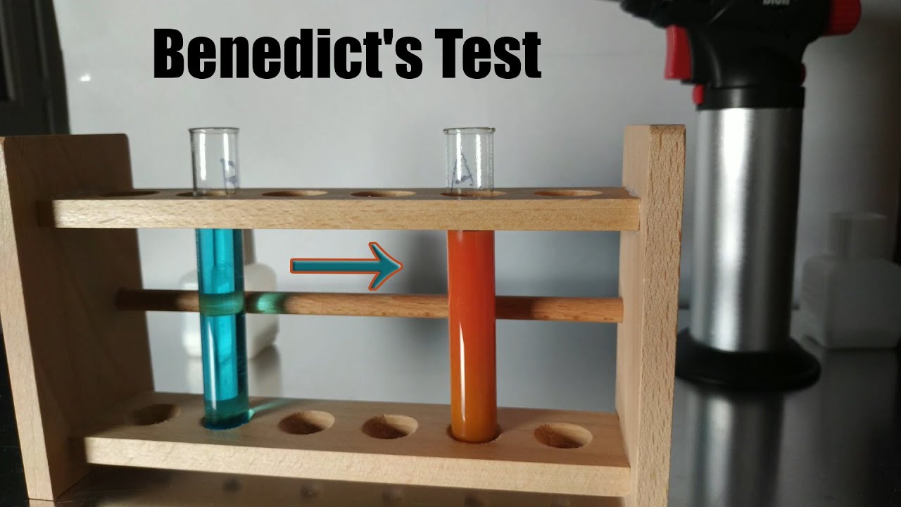 Benedict's Reagent Part 2 Benedict's Test YouTube