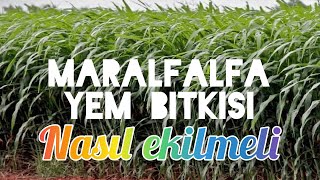 Toprağa Nasil Di̇ki̇lmeli̇?