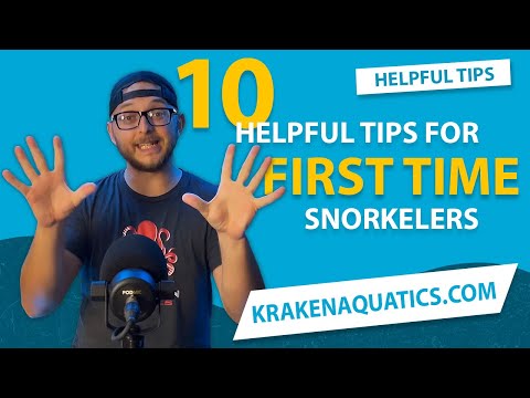 10 Helpful Tips