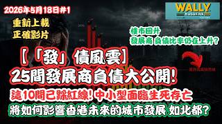 【「發」債風雲】25間發展商負債大公開! 這10間已踩紅線! 中小型商戶面臨生死存亡? 「表面復甦」下的真實債務黑洞! 如何影響城市發展，例如北都？