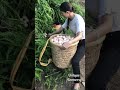العمل عباده 