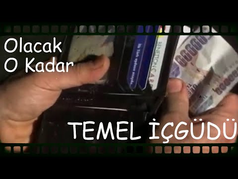 Olacak O Kadar - Temel İçgüdü