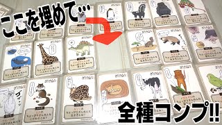 最後の１枚ティラノサウルスを狙え！ざんねんないきもの事典キャンディー 限定カード付き 開封レビュー【FINAL２】