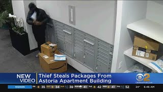 Package Thief Caught On Camera