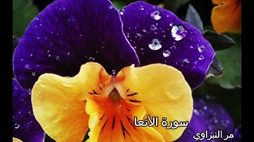 Surah AlAn'am 46 62 Sheikh Omar Al   Nabrawi  سورة الأنعام 46 62 الشيخ عمر النبراوي