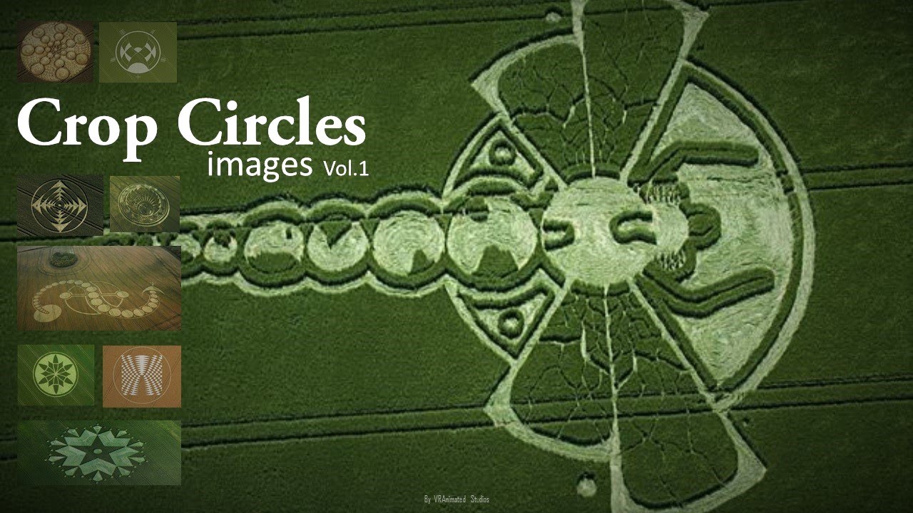 Newest Crop Circles 2016 Vol.1