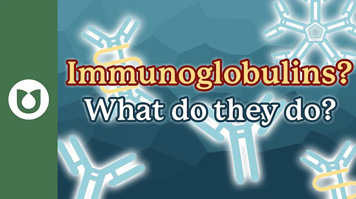 What are the structure and function of immunoglobulins? (antibodies) #myeloma