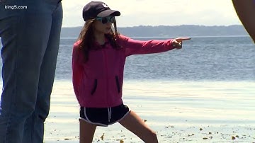 Lowest tide of the year in Puget Sound