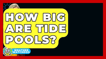 How Big Are Tide Pools? - Weather Watchdog