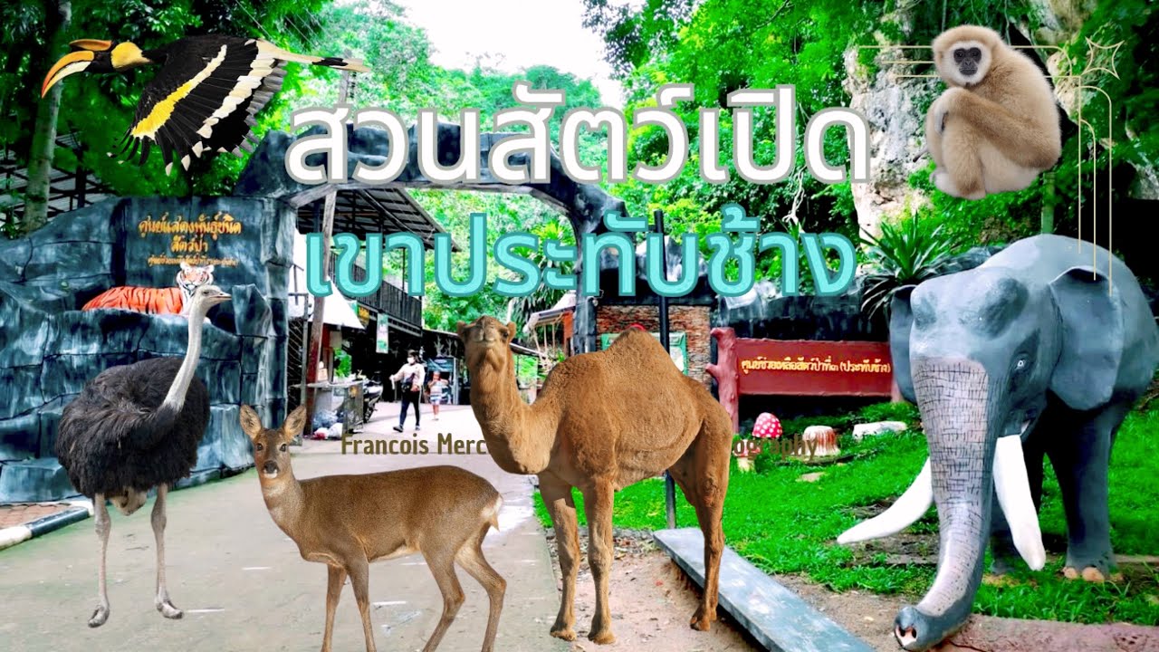 สวนสัตว์เปิด เขาประทับช้าง ที่ไม่มีช้าง จังหวัดราชบุรี กับน้องซัมเมอร์