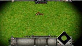 Lion Vs Tiger (Age Of Mythology)