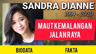 Sandra Dianne | Biodata, Kronologi Kemalangan, Tanda Arwah Pergi Selamanya dan Rayuan Ibu Arwah