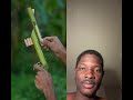 #bamboo #viral #archery #youtubeshorts #shorts #reels