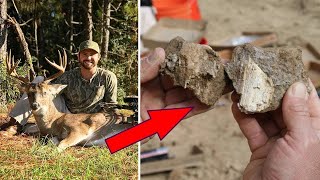 Man Discover Centuries Old Secret Inside A Wildlife Park While Hunting For Elks