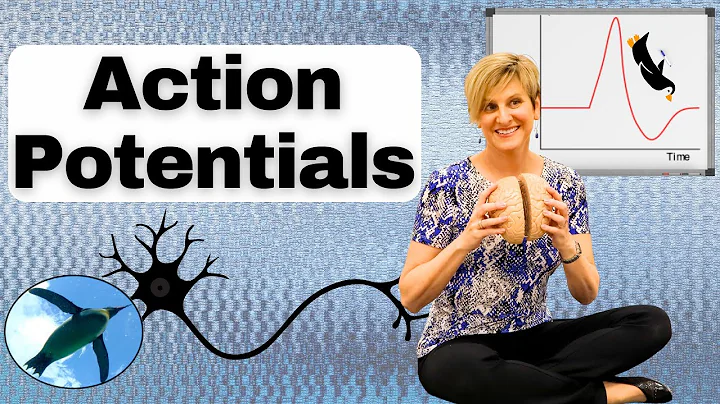 Action Potentials and Voltage-Gated Channels EXPLAINED! | Physiology 🐧