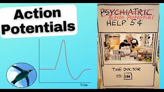 Action Potentials Made EASY! 🐧