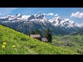 Miniature de la vidéo de la chanson Violin Concerto In E Major, Rv 269 "Spring"