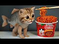 トゥルリメロ・トゥルリチーノに何が起きたのか？答えはこの動画で｜イタリアン・ブレインロットアニメーション