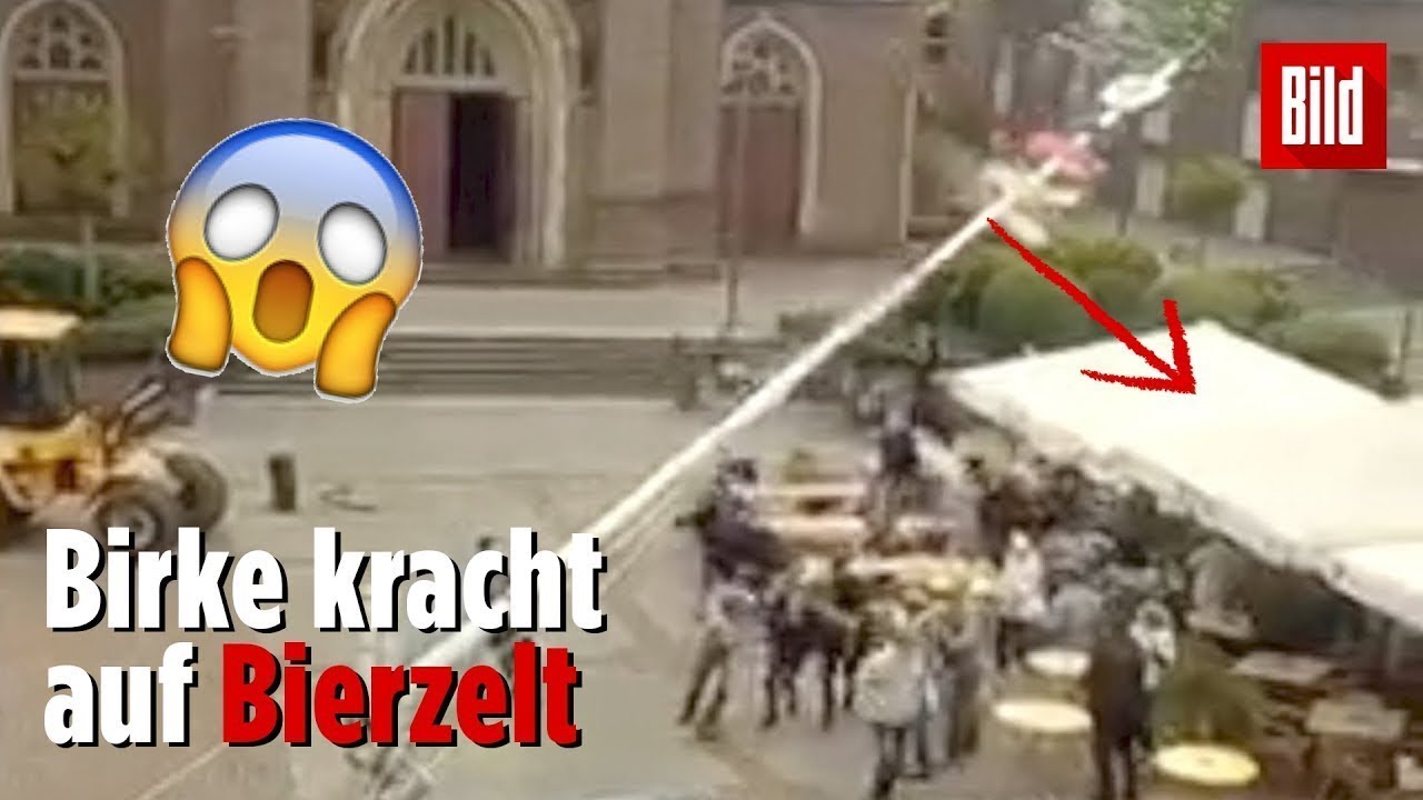 Maibaum stürzt beim Aufstellen auf Bierstand