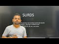RATIONAL AND IRRATIONAL NUMBERS (SURDS) CHAPTER 1 CLASS 9 ICSE