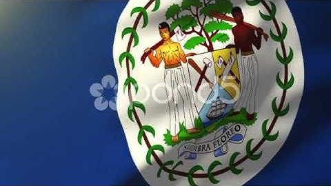 Belize Flag Waving In The Wind. Looping Sun Rises Style. Animation Loop