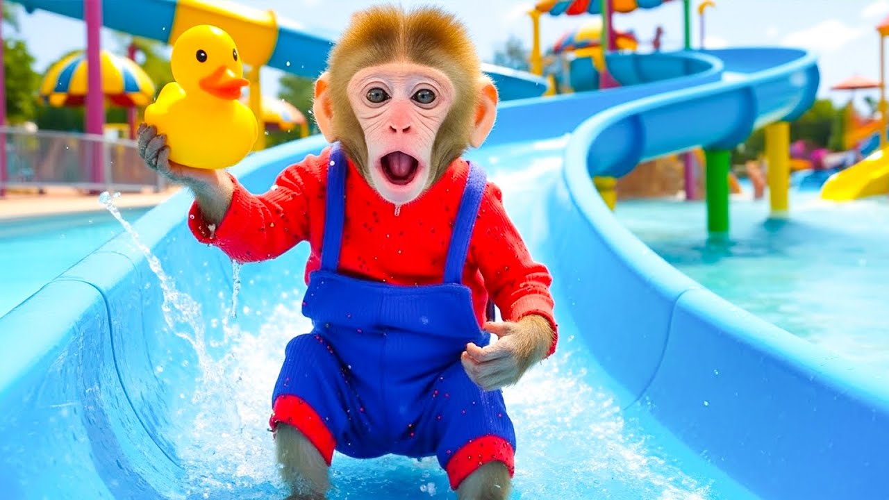 Mochi the Monkey had a Blast Playing on Sunday