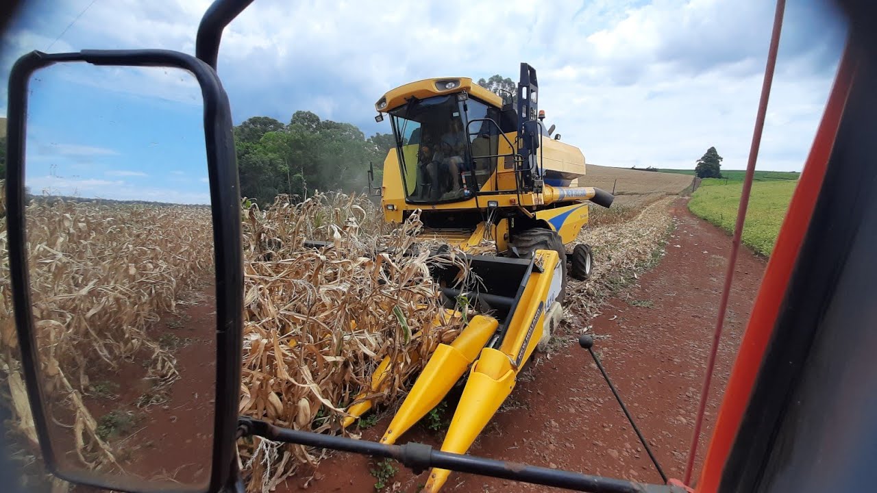 MUITO TRABALHO MAS TERMINAMOS A COLHEITA DO MILHO 🌽