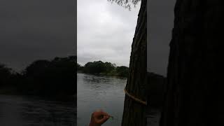 Río suchilapan jesús Carranza, Veracruz