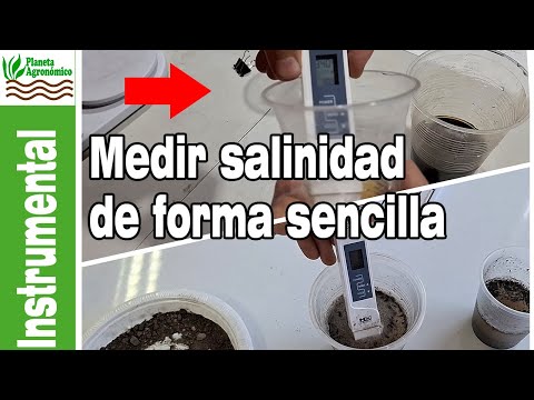 How to measure soil salinity 🧂🌱 with homemade methods 🔬
