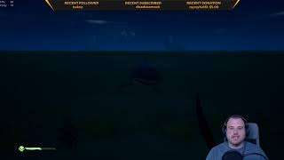 Dancing Shark