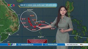 Dự báo thời tiết biển ngày 26/11/2025 | Bão số 15 hoành hành trên Biển Đông | VTVWDB