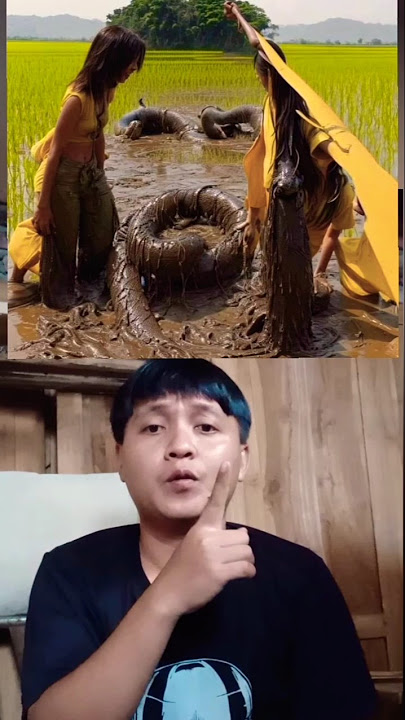 Coba kalian perhatikan gambar apakah itu #ilusi #sejarah #gambarbergerak #ilustrasi #history