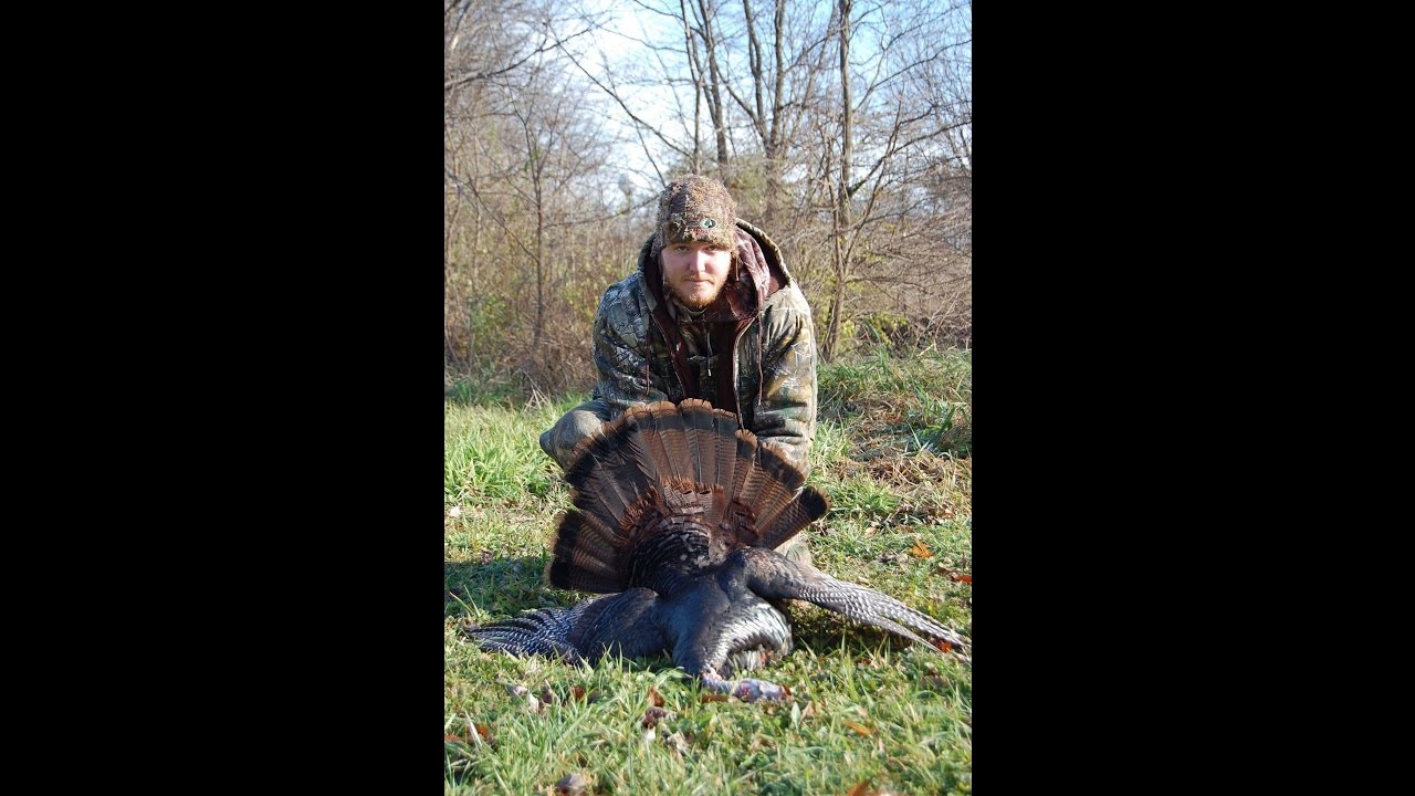 Turkey hunting 2016 Fall Turkey with my bow YouTube