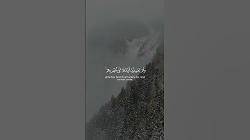 Surah Al-An'am 031 سورة ٱلْأَنْعَامْ      #quraniv #quran