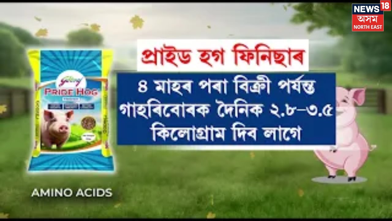Godrej Agrovet launches Pride Hog Feed Range to Boost Pig Health and Immunity | N18M