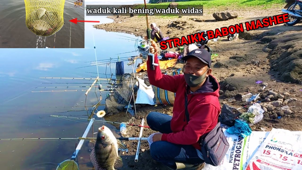 MANCING DI WADUK WIDAS/WADUK KALI BENING DENGAN UMPAN JITU‼️ HASILNYA MANTAPP‼️