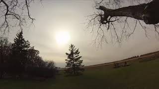 The Eachine Wizard And The Quad Eating Oak Tree. PT 4