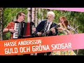 Ref:mDMeJGd2Q6U Mellanakt: hasse andersson - guld och gr�na skogar