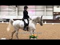 Amazing Arabs: Strutting their stuff at the Cavago Associated Championships