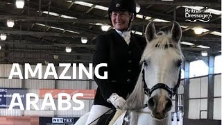 Amazing Arabs Strutting Their Stuff At The Cavago Associated Championships