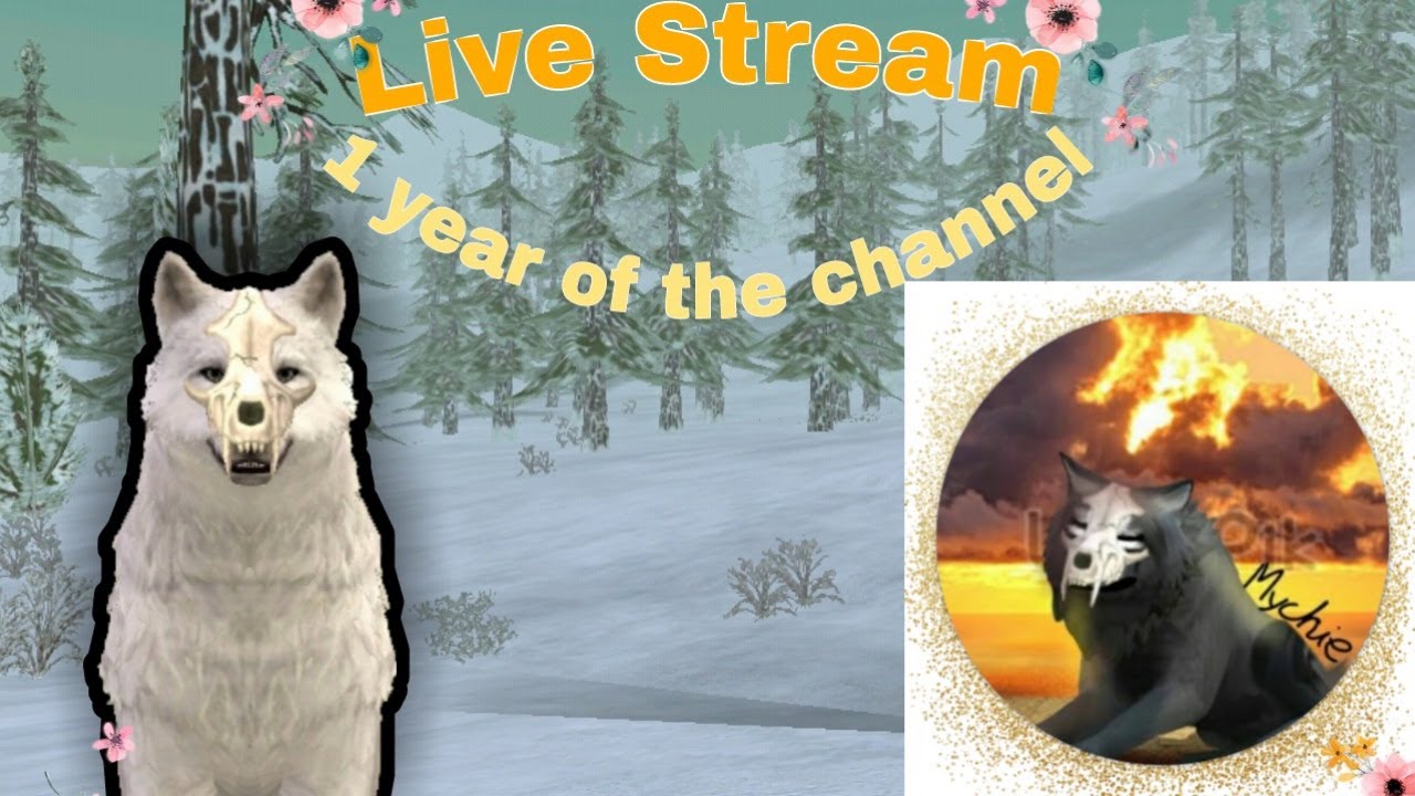 Wildcraft Live Stream 1 year of the channel YouTube