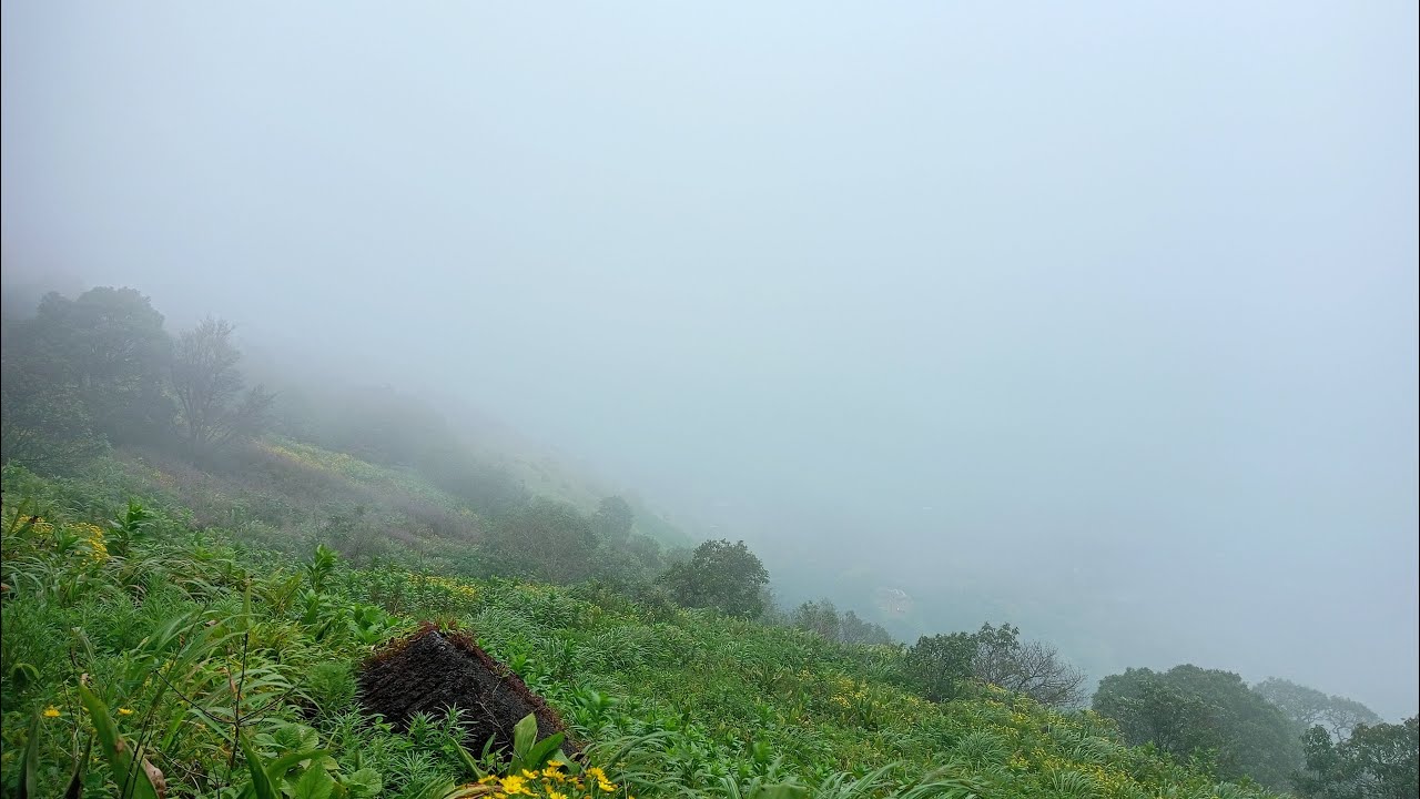 Ambhora bridge near nagpur 
