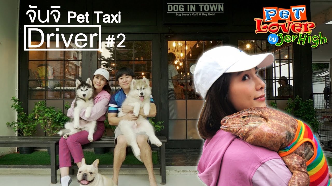 ผู้โดยสารสุดแปลก กิ้งก่าเตกูแดง Pet Taxi Driver l OA 24 ก.พ. 2562 YouTube