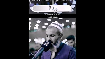 عمر عبدالله سورة البقرة تلاوة خاشعة و عجيب ماشاءالله omar abdullah