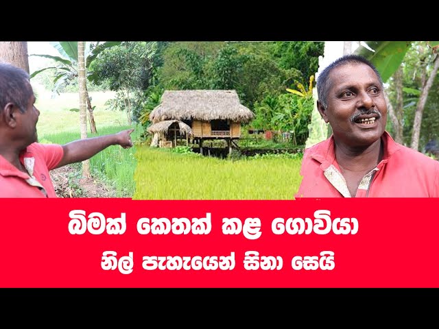 රටට සවියක් වු ගොවි පුතා